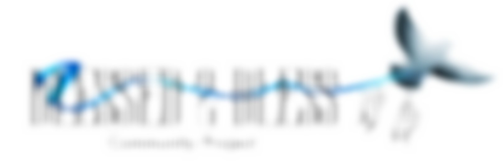 Blessed 2 Bless Community Project | Charici