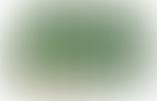 Green Futures Greater Grimsby Ltd | Charici