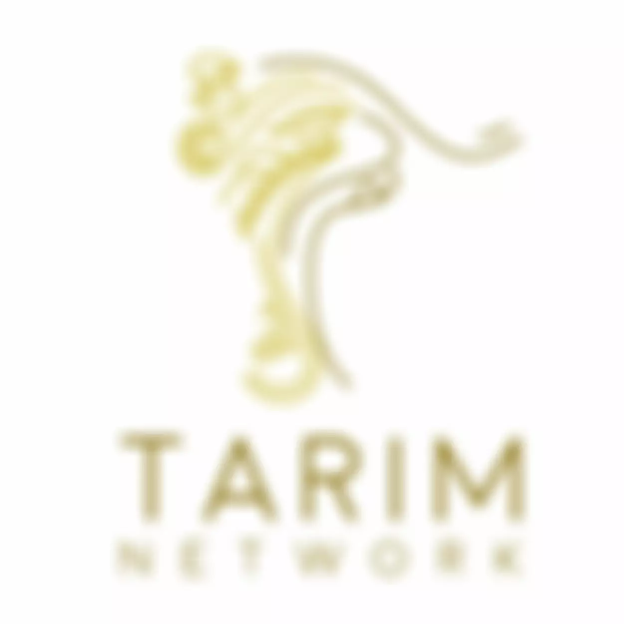 The Tarim Network | Charici
