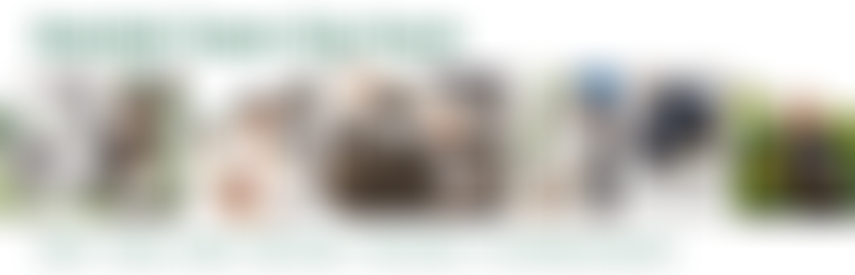 Kentish Town City Farm Limited | Charici