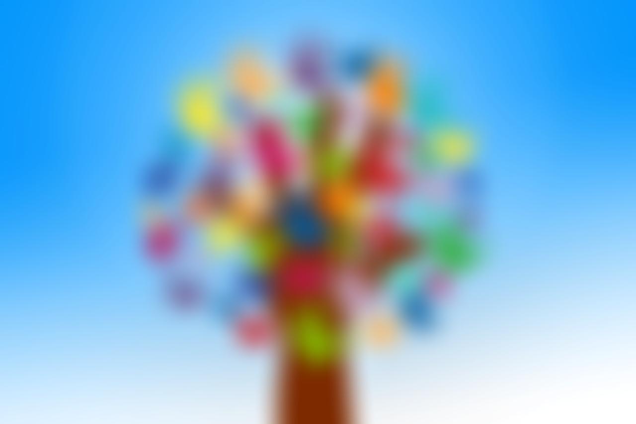 North Northumberland Voluntary Forum | Charici