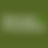 Fences & Frontiers | Charici