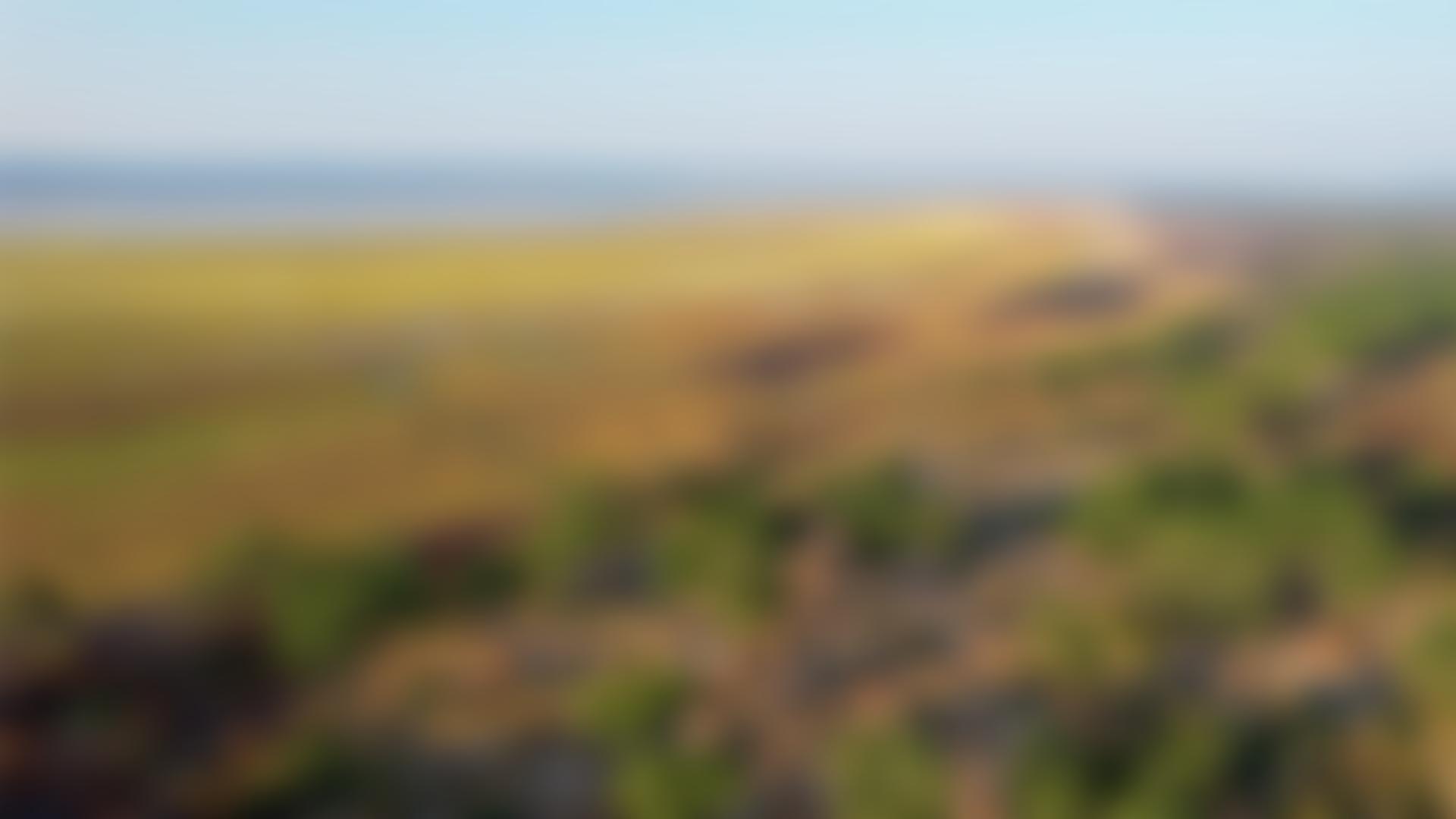 Conserve Global | Charici