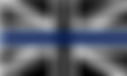 The Doyle Phillips Foundation | Charici
