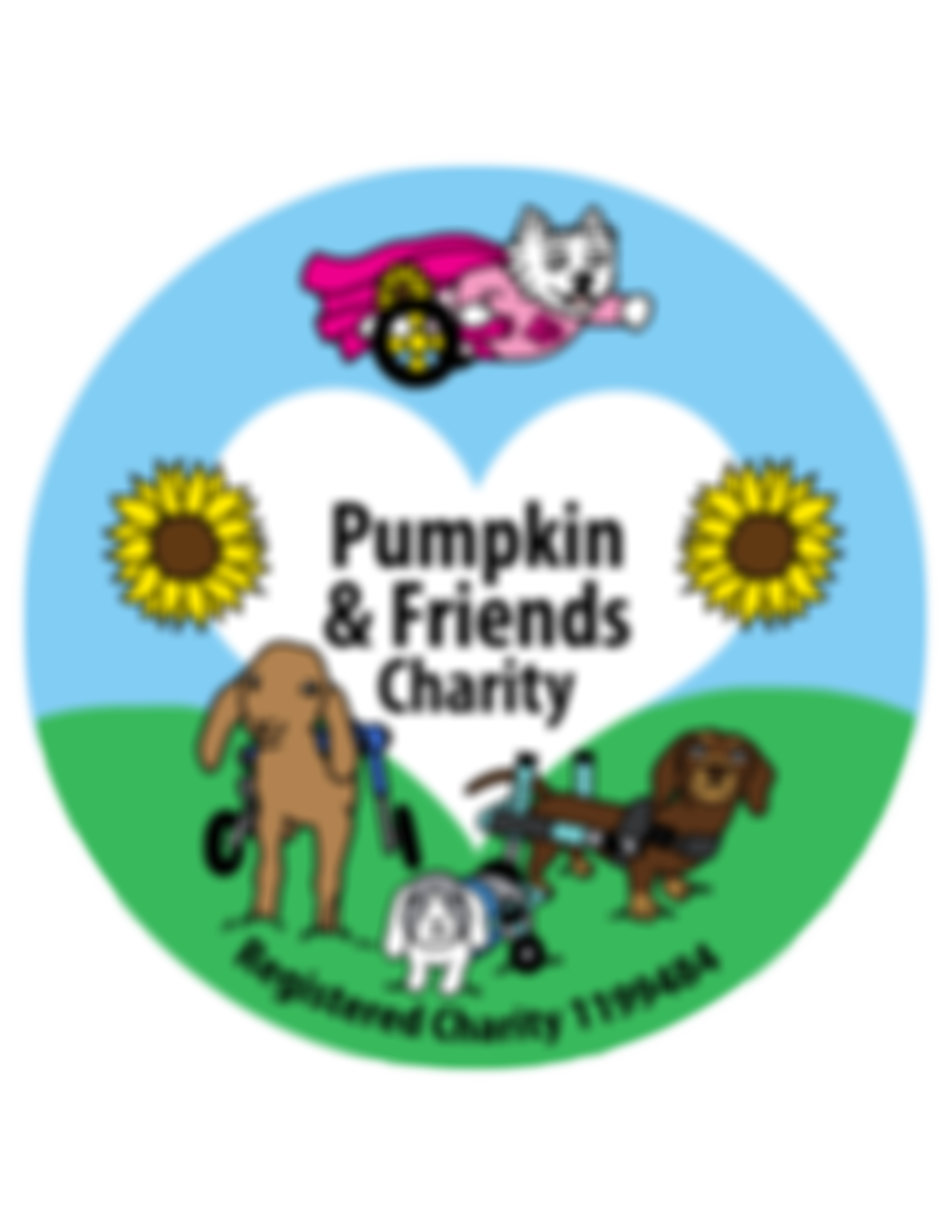 Pumpkin And Friends Charity | Charici