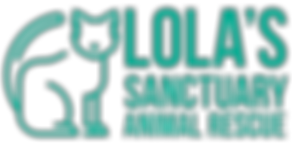 Lola's Sanctuary Animal Rescue | Charici