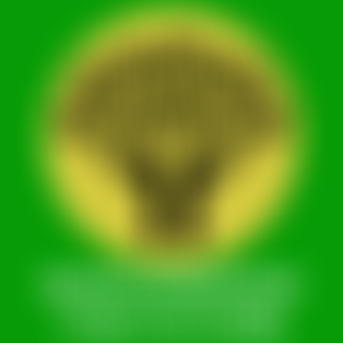 Friends Of Empowering The Future | Charici