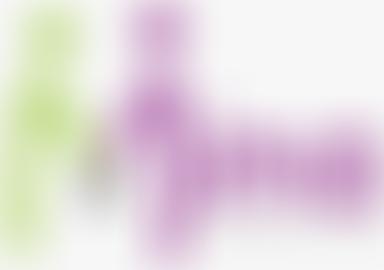 Mina Foundation | Charici