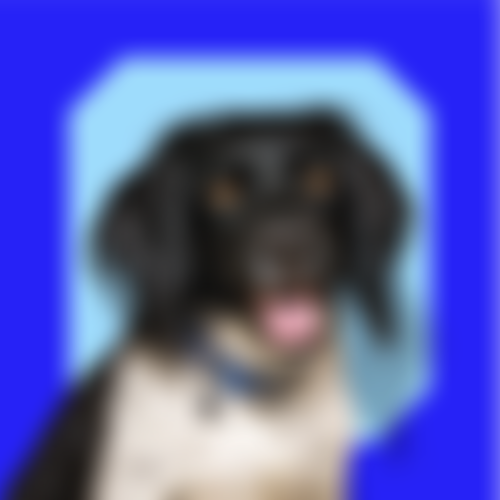 Royal Society For The Prevention Of Cruelty To Animals Essex Mid & North Branch Cio | Charici