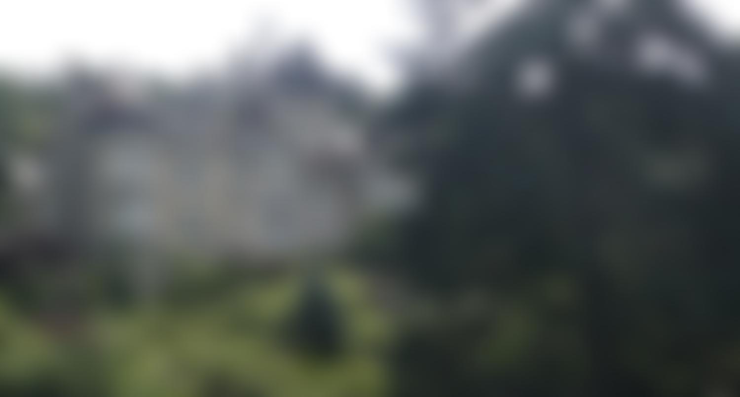 The Armstrong Project | Charici