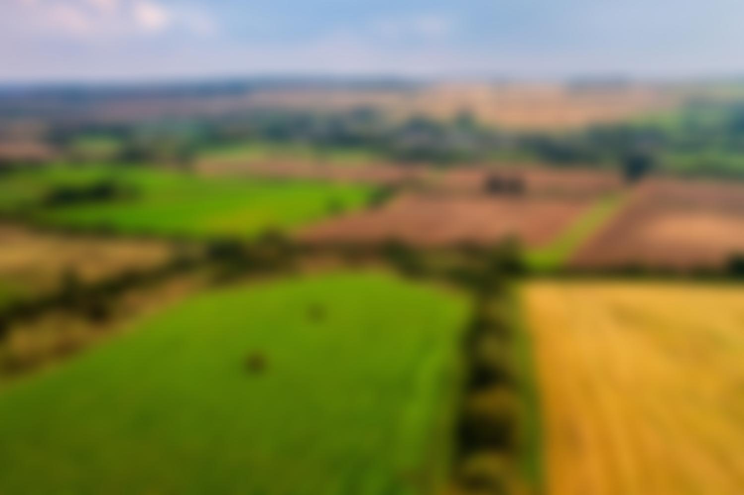 Future Farms Foundation | Charici