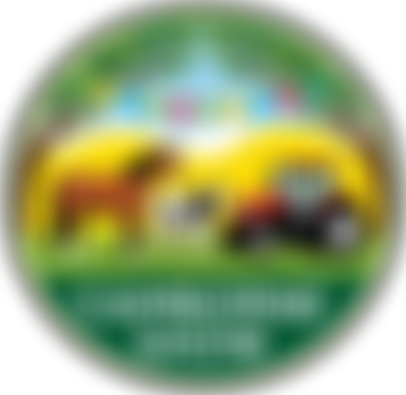 The Camborne Show Society | Charici