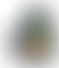 Wecil Ltd | Charici