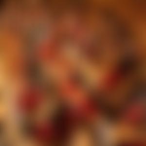 National Youth Harp Orchestra Charitable Trust | Charici