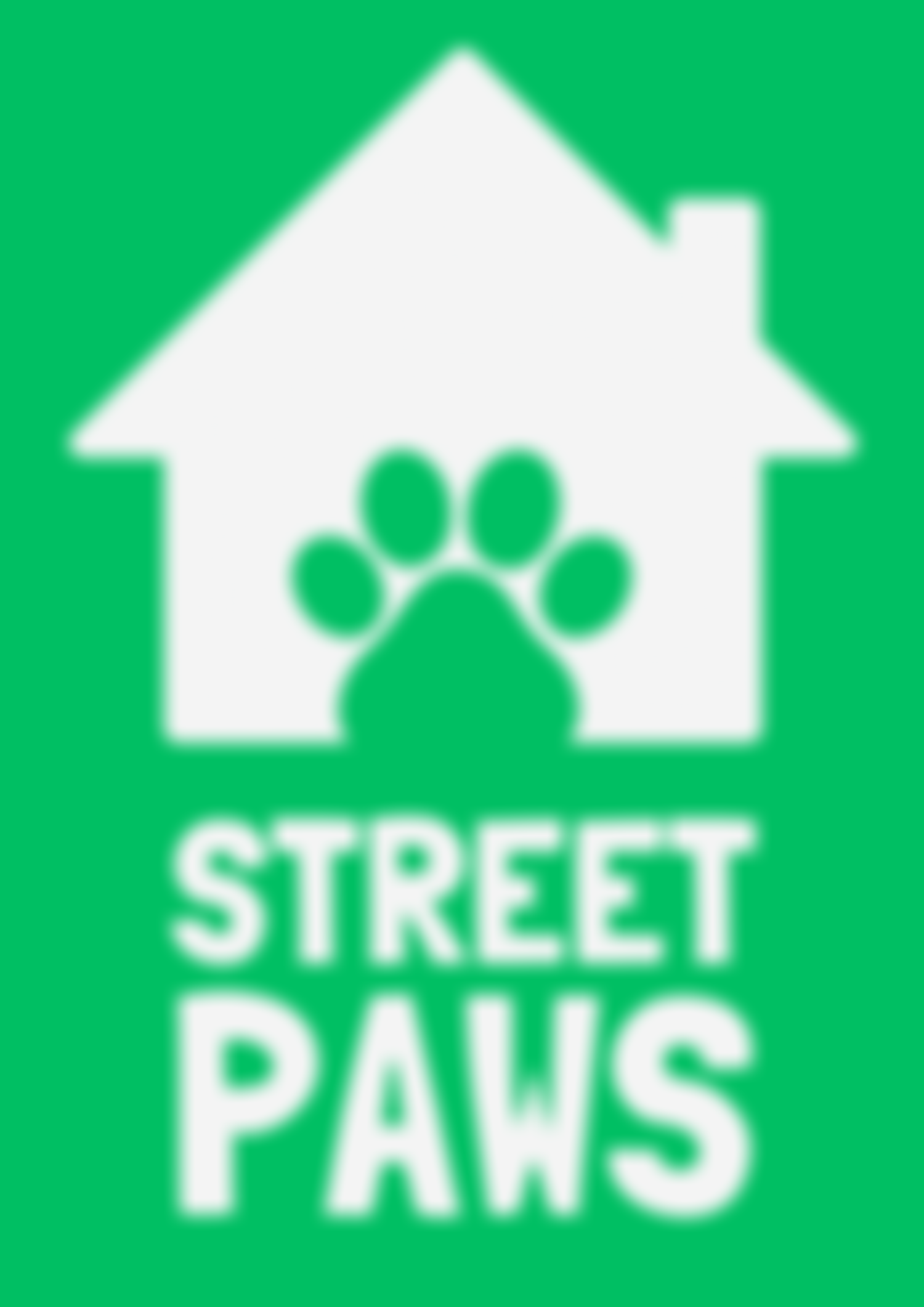 Street Paws | Charici