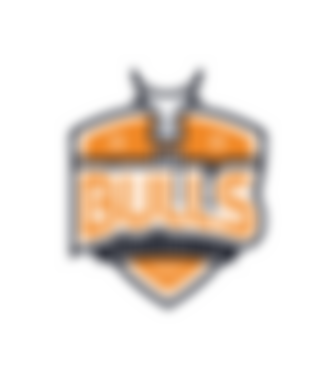 The Bolton Bulls Wheelchair Basketball Club | Charici