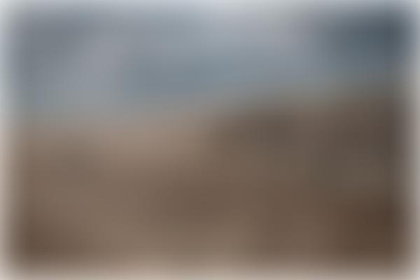 Bristol Photographic Society | Charici