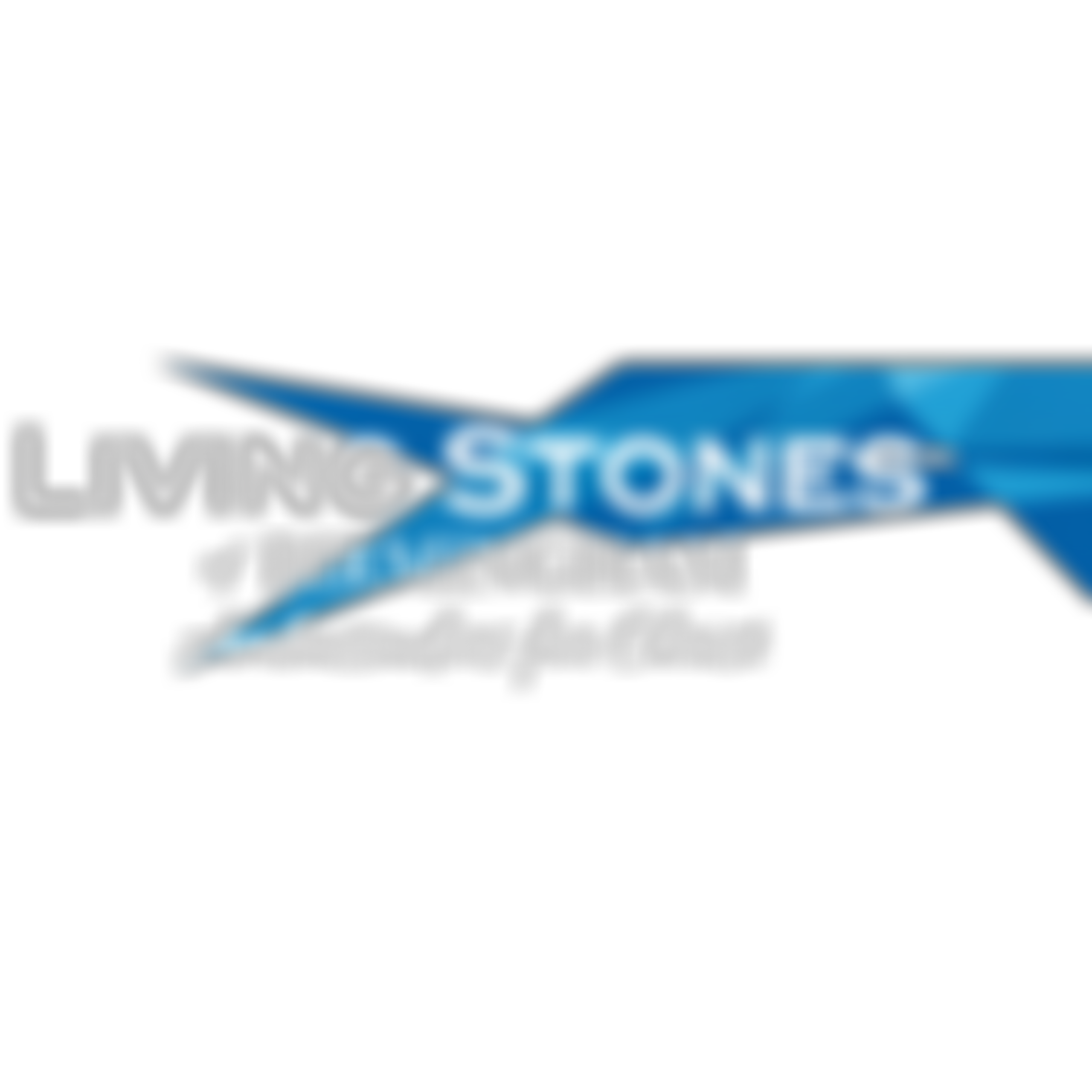 Living Stones Christian Life And Media Centre | Charici