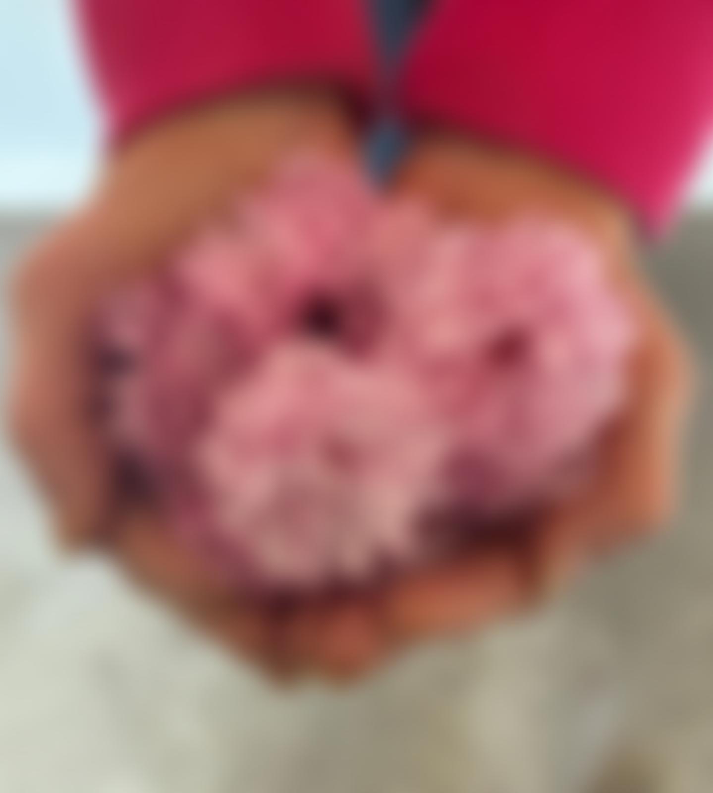 The Blossom Development Trust | Charici