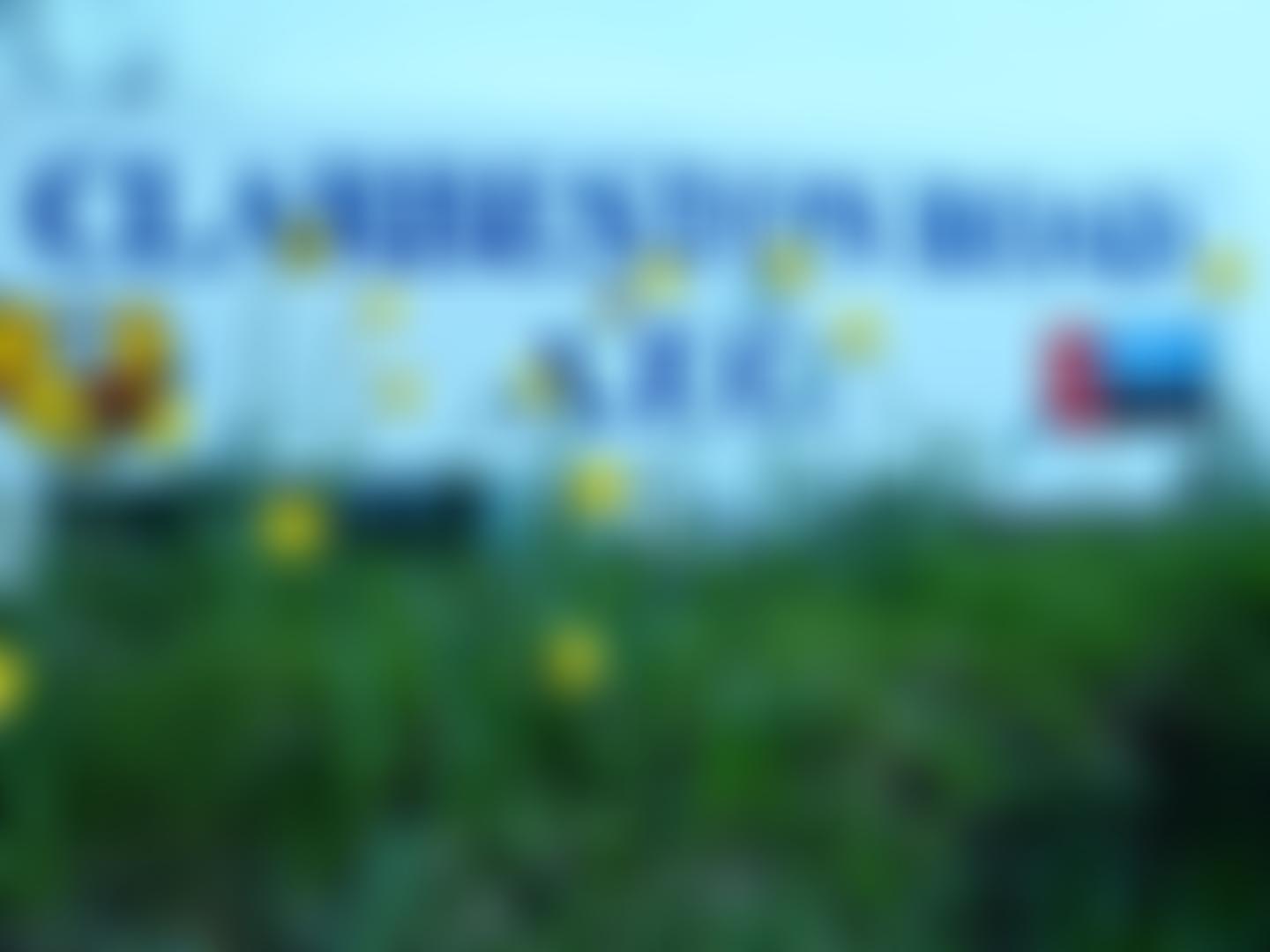 Clarbeston Road Association Football Club | Charici