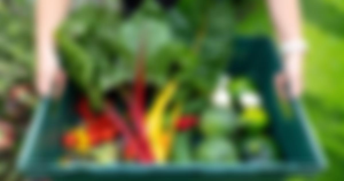 The Henry Doubleday Research Association | Charici