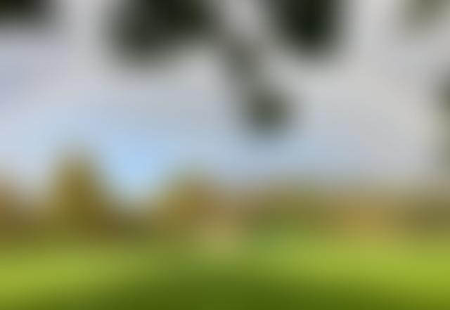 Hurstbourne Priors Village Hall Fund | Charici