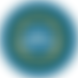 The Bible Network | Charici