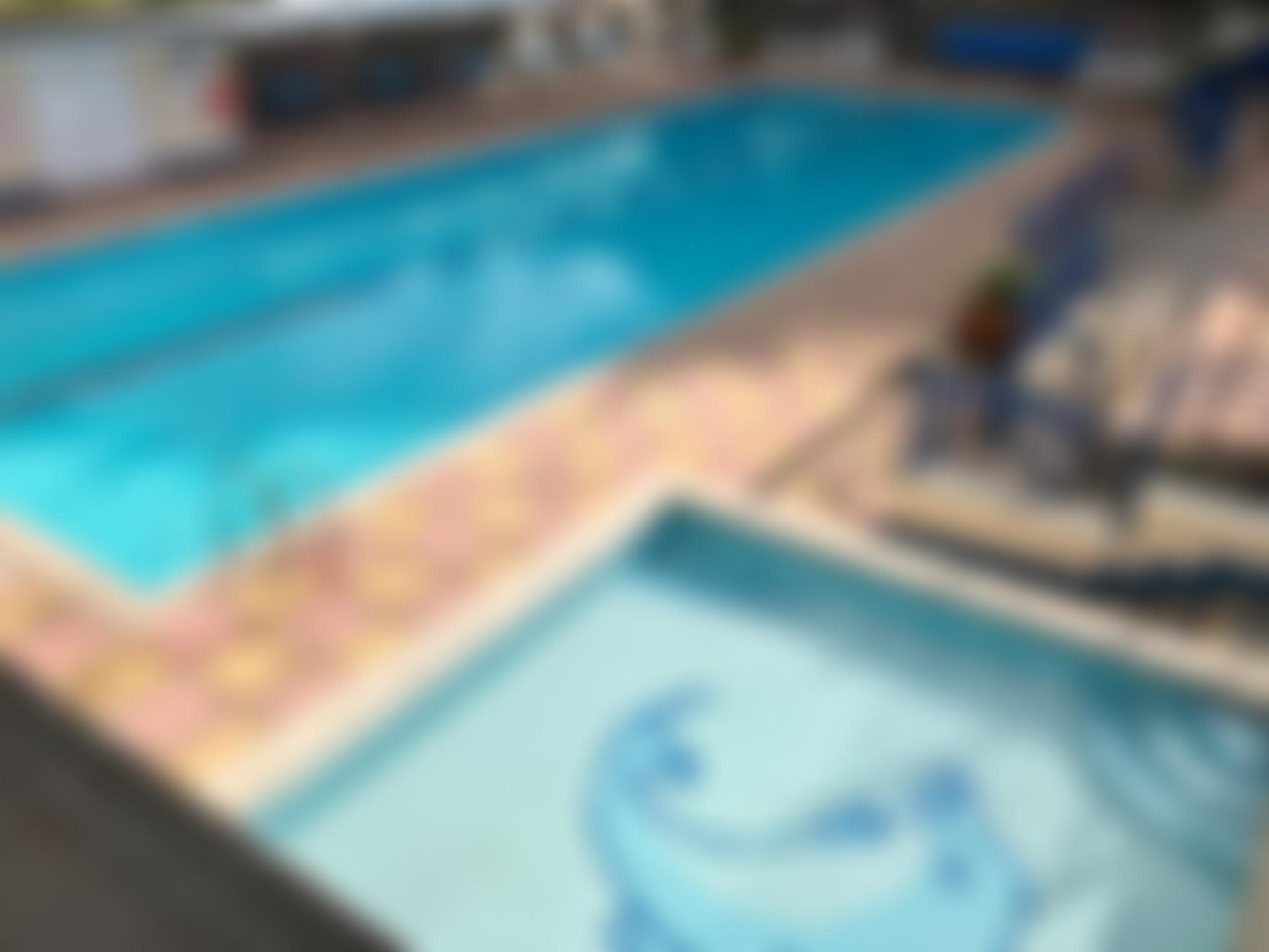 Bovey Tracey Swimming Pool Association | Charici