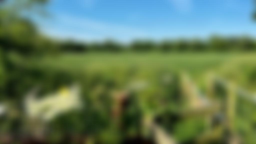 Somerford Keynes Village Hall | Charici