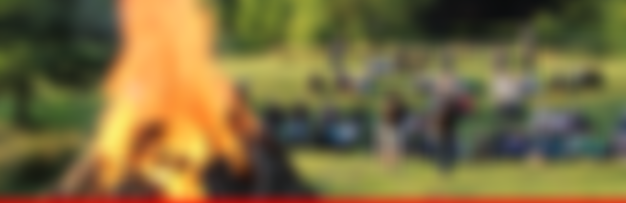 Loose Swiss Scout Group | Charici