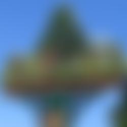 Village Hall Bergh Apton | Charici