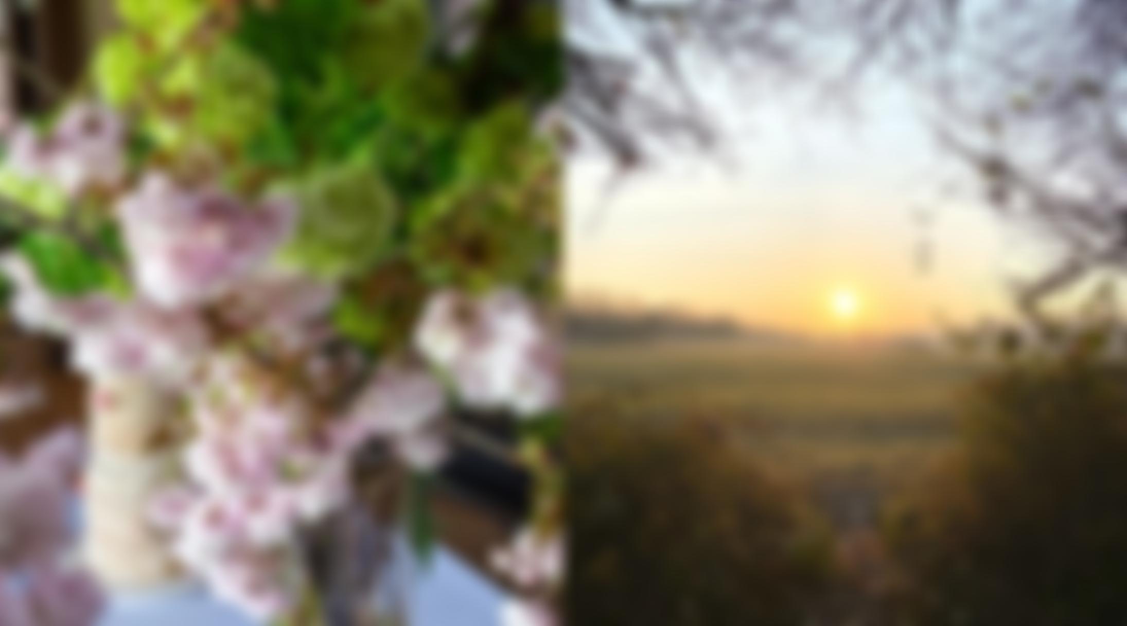 Alciston And Selmeston Village Hall | Charici