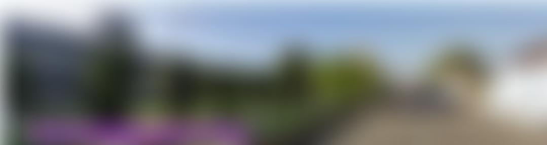 Raymond Trust Fund | Charici
