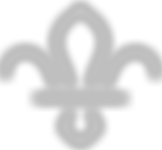 1St Nailsea Scouts | Charici