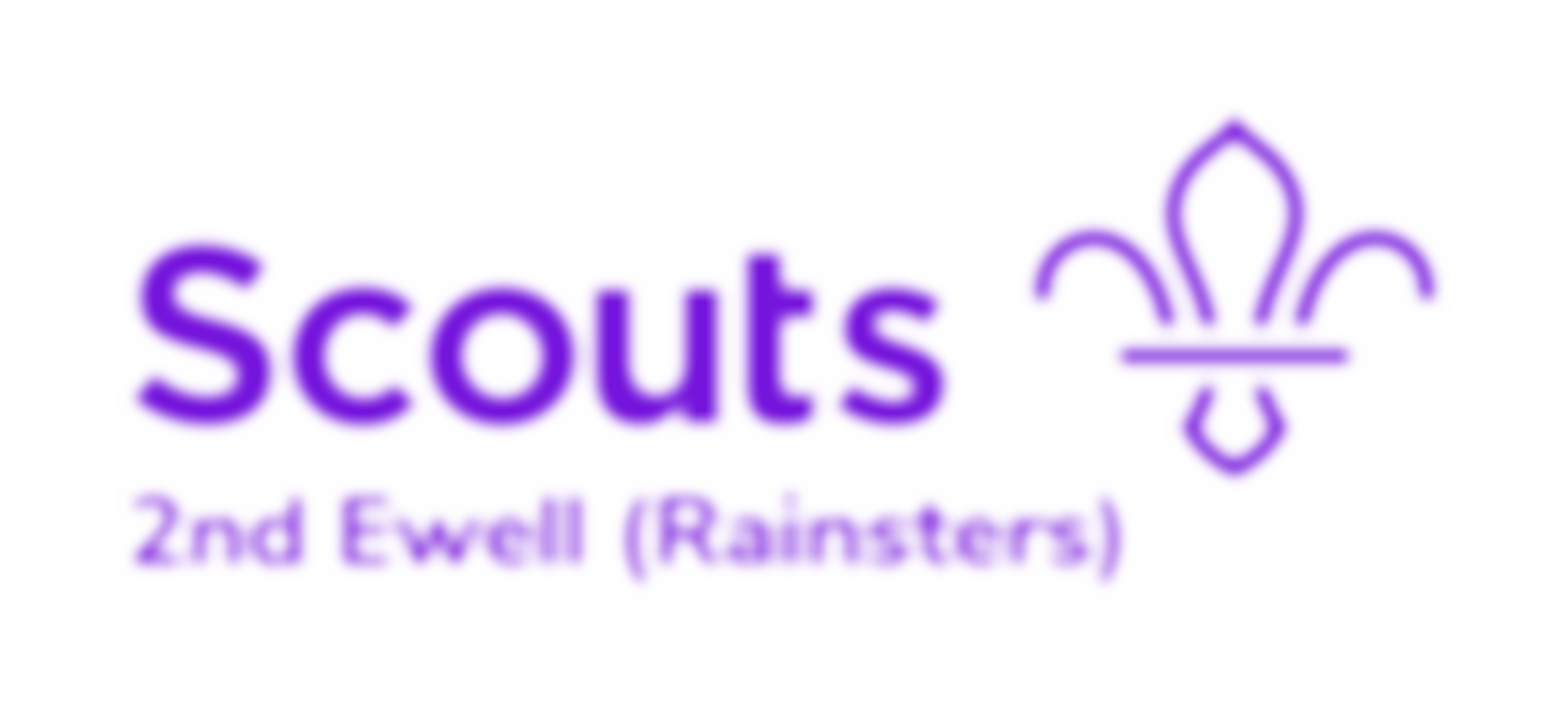 2Nd Ewell (Rainster) Scout Group | Charici