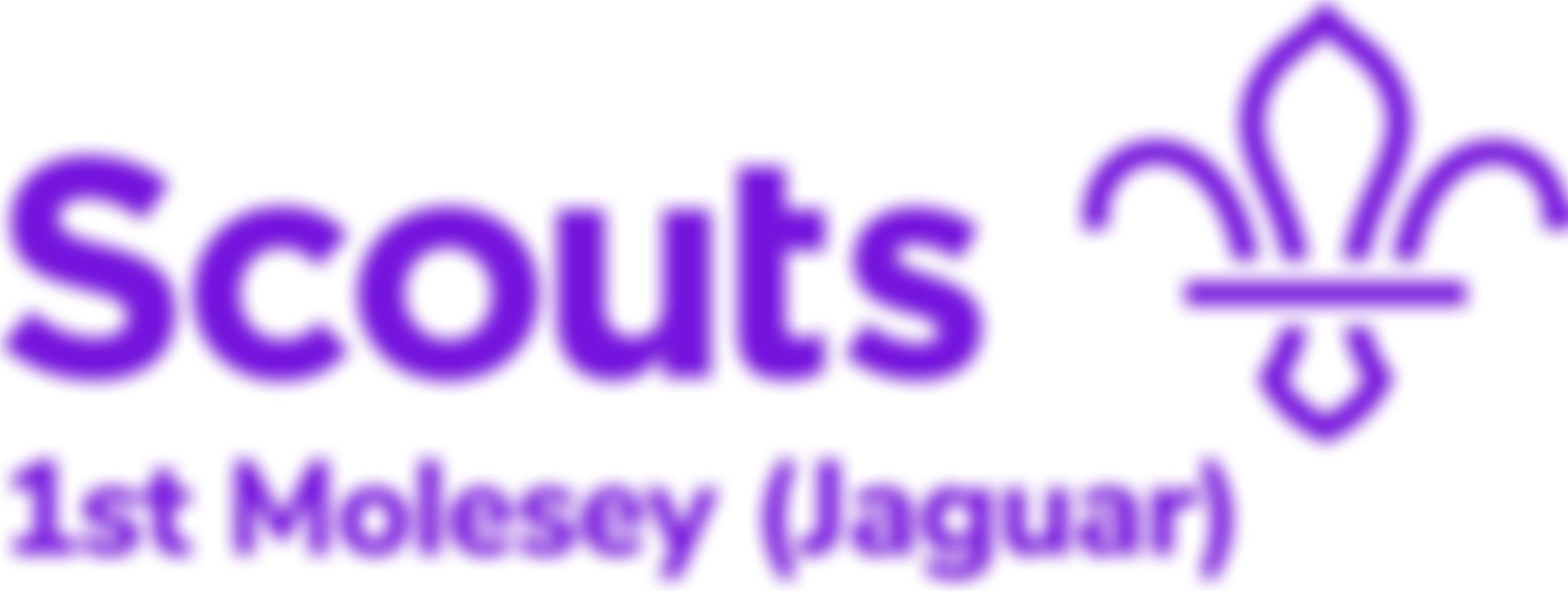 1St Molesey Scout Group | Charici