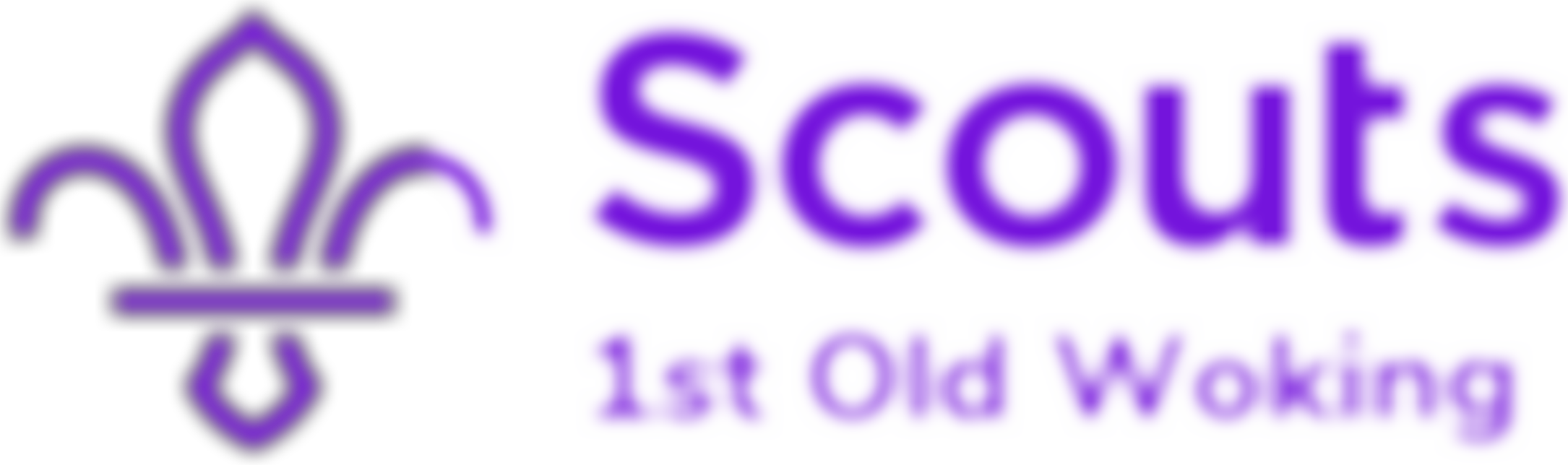 1St Old Woking Scout Group | Charici