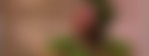 Concord Video And Film Council Limited | Charici