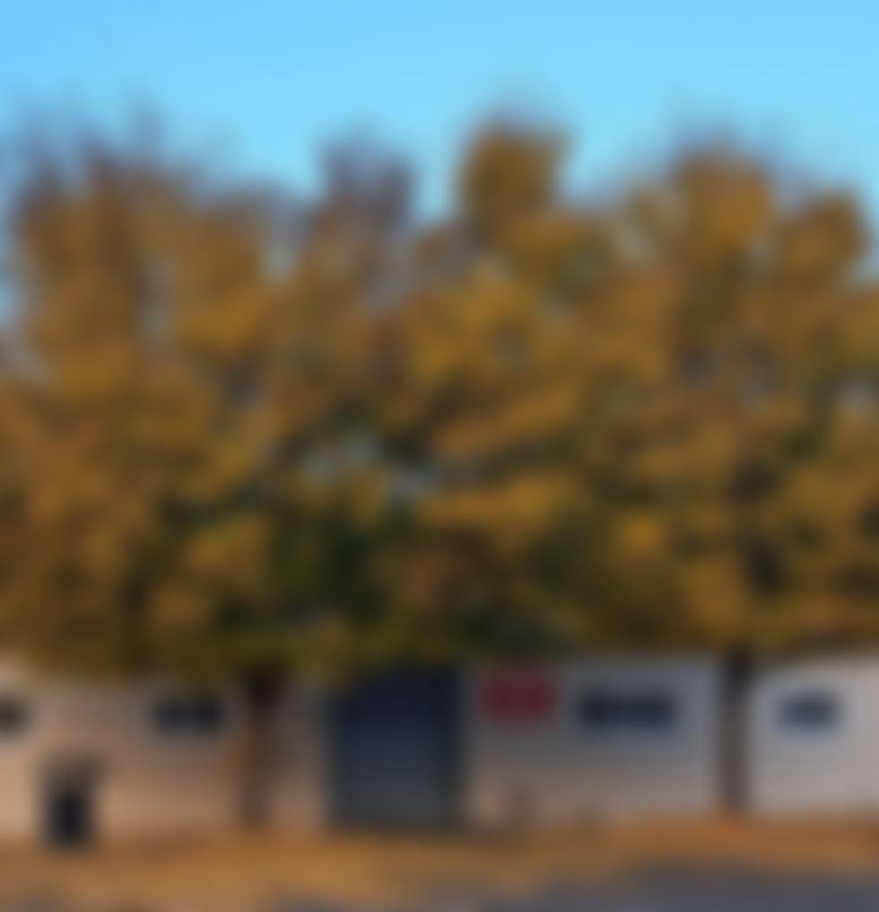 Hadlow Village Hall | Charici