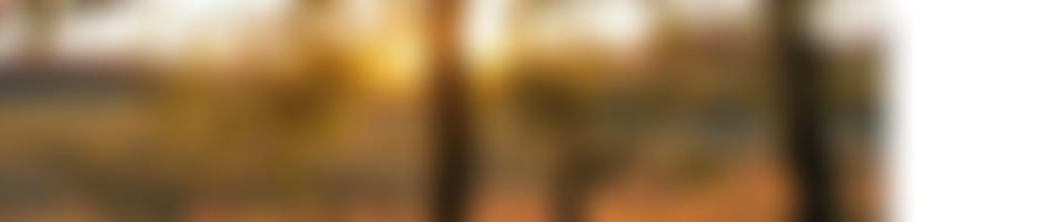 Perry Foundation | Charici