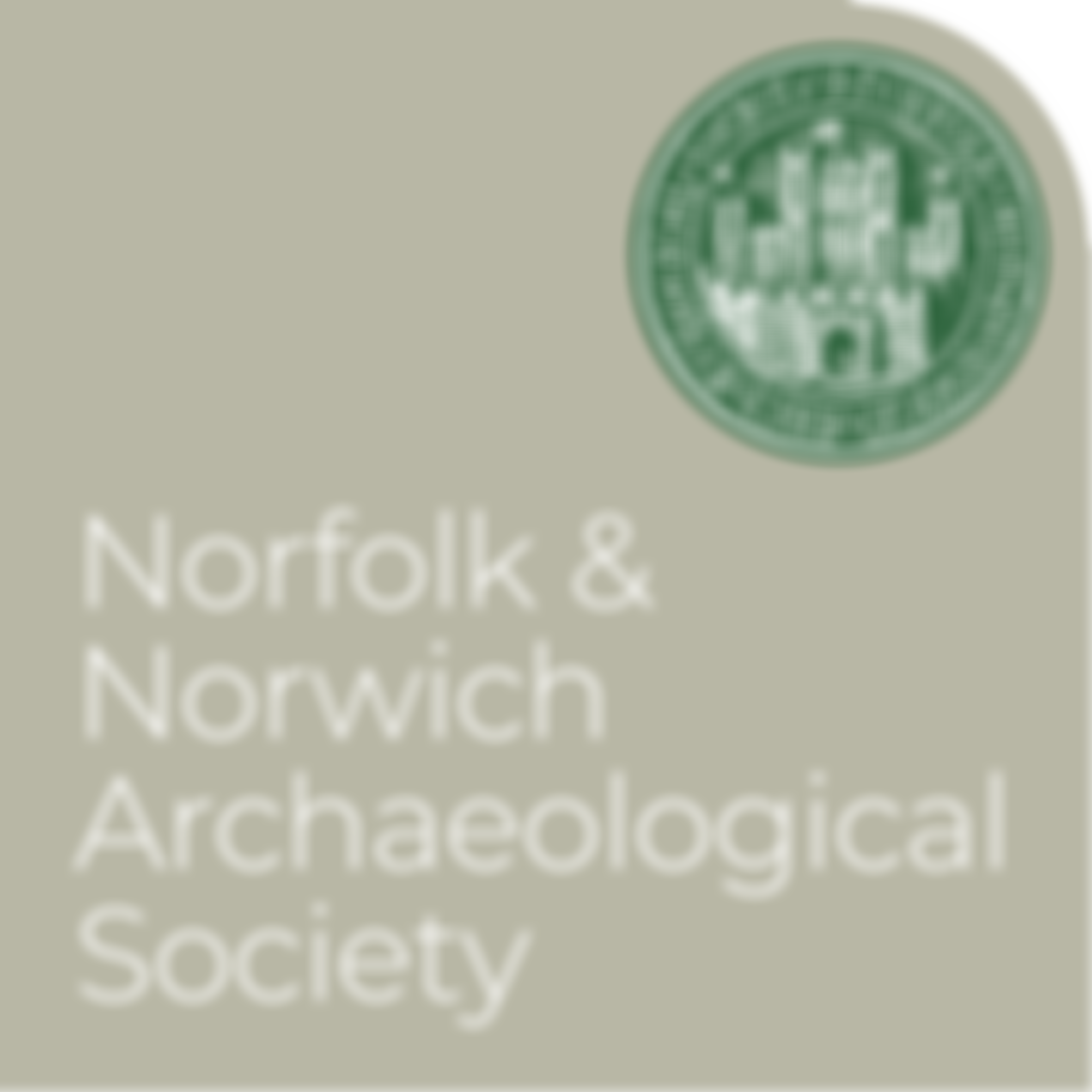 Norfolk And Norwich Archaeological Society | Charici