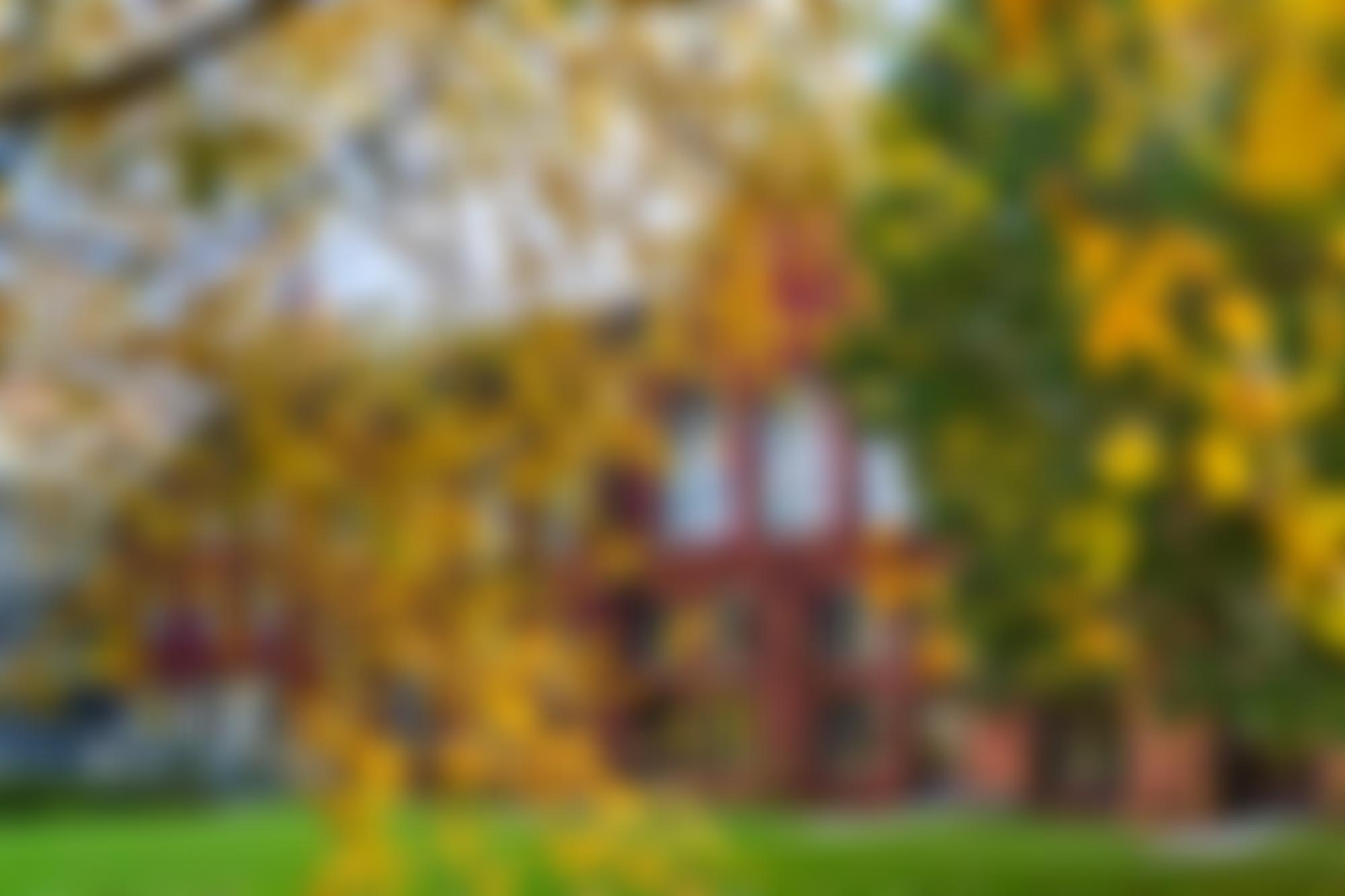 Cheltenham Ladies College | Charici