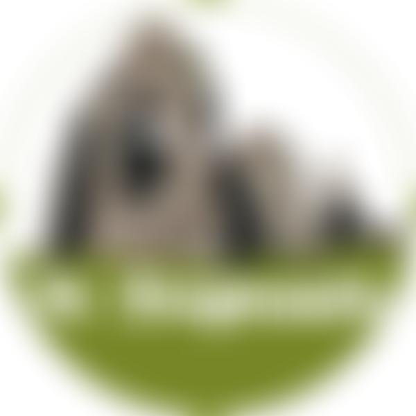 Neuadd Goffa Llandudoch (St Dogmaels Memorial Hall) | Charici