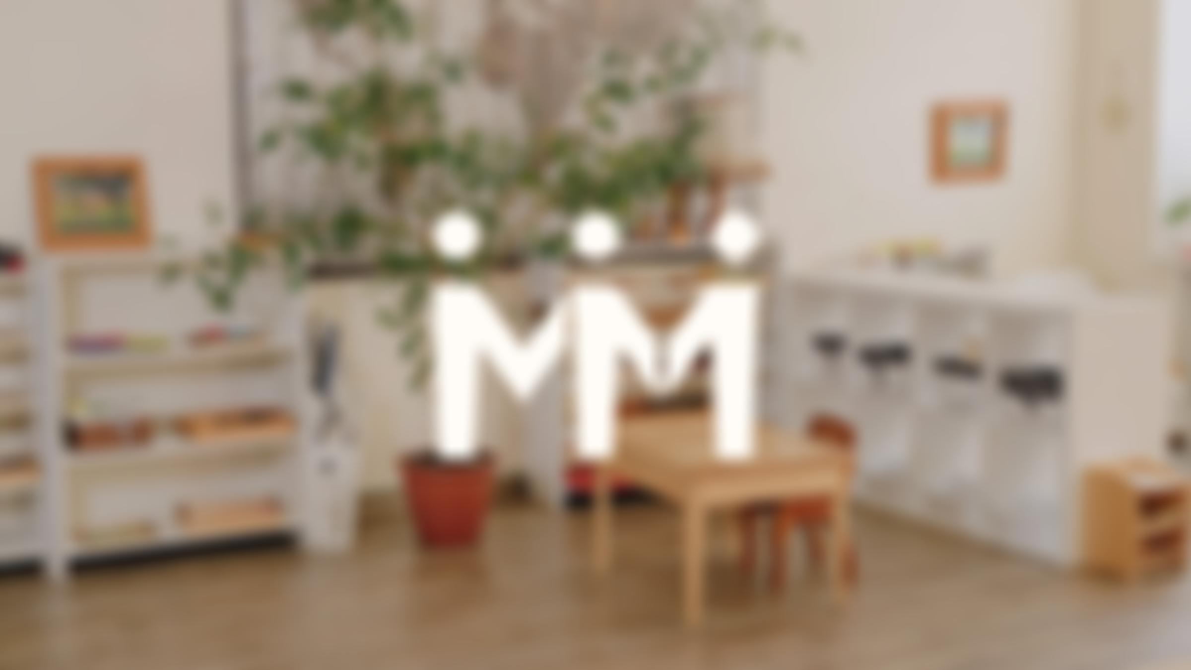 Maria Montessori Training Organisation | Charici