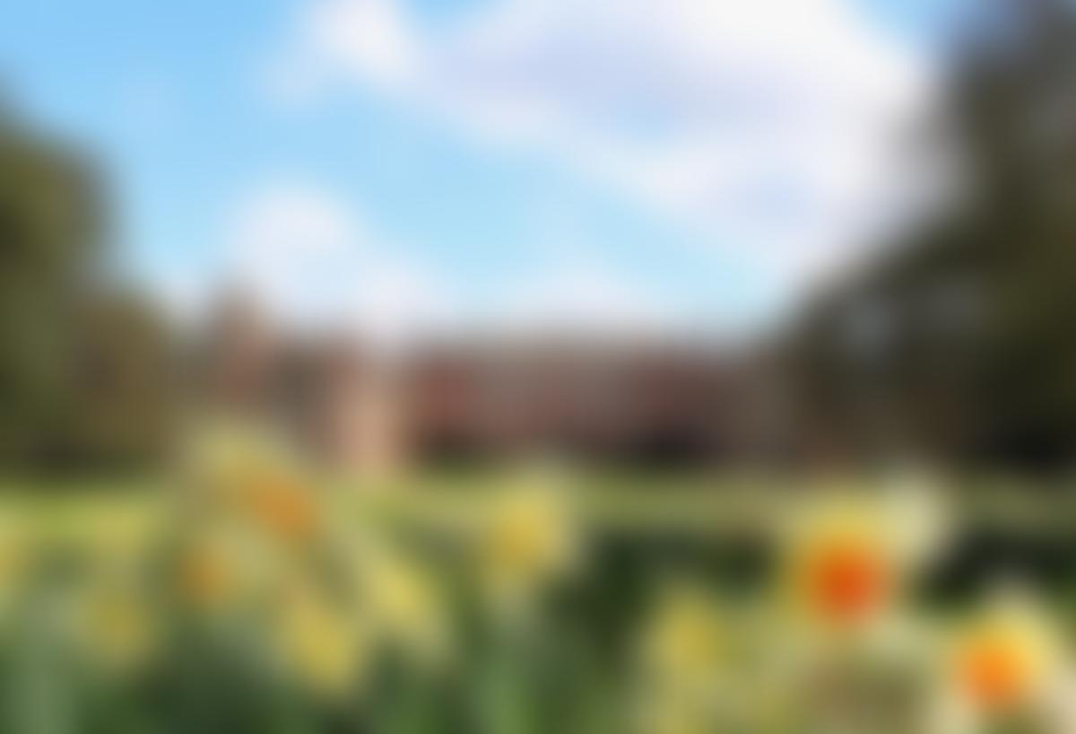 Cobham Hall | Charici