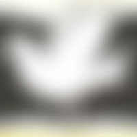 The Christian Peace Education Fund | Charici