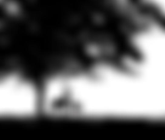 The Deerfold Trust | Charici