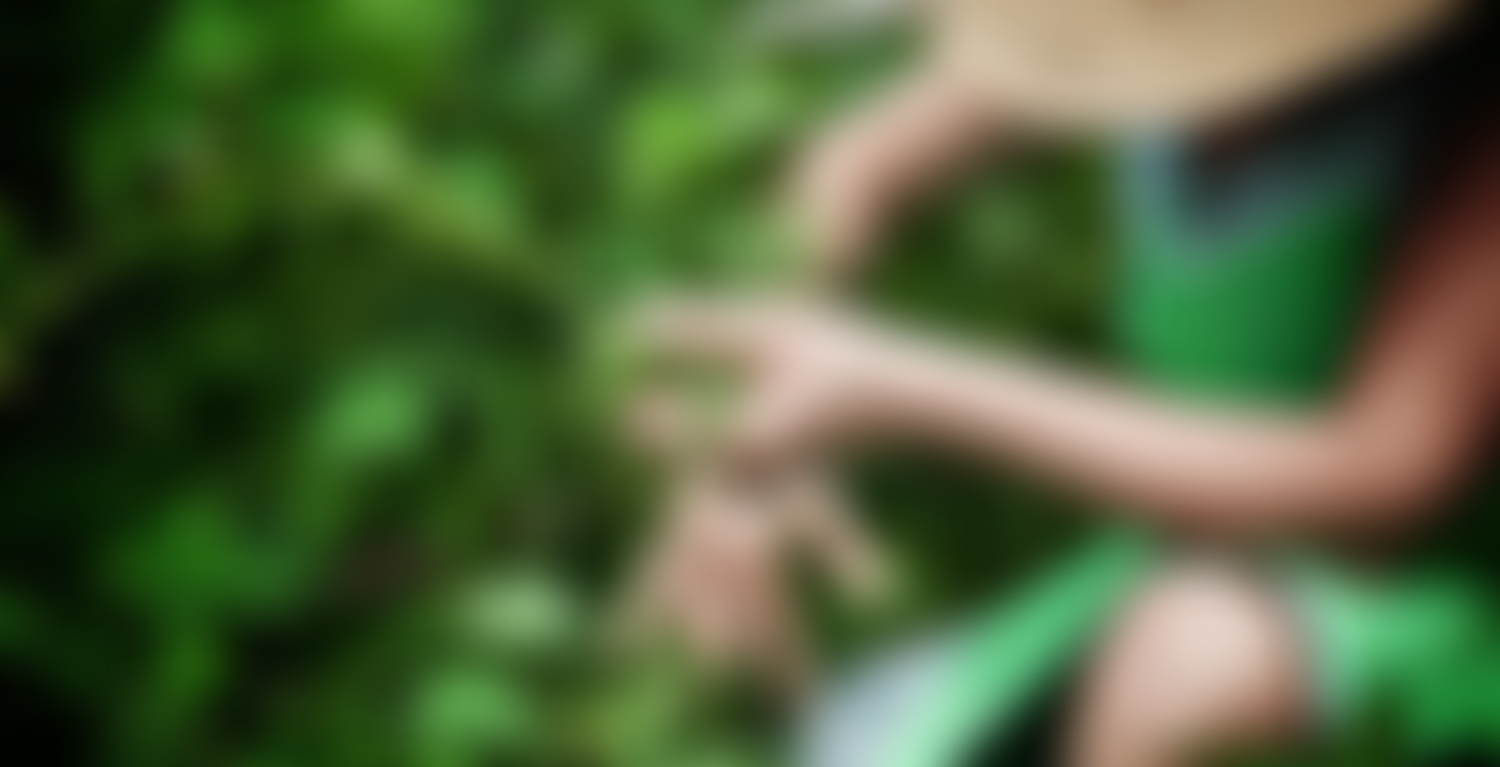 Pesticide Action Network UK | Charici